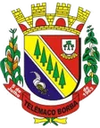 Brasão do município de Telêmaco Borba (PR)